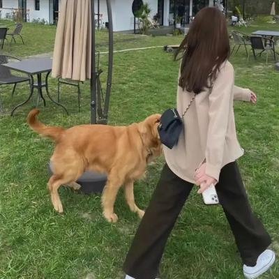 无尽的河流