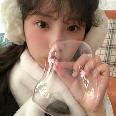 双珠凤